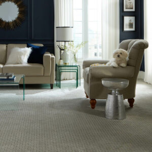 Carpet Inspiration Gallery | Jordan's Flooring