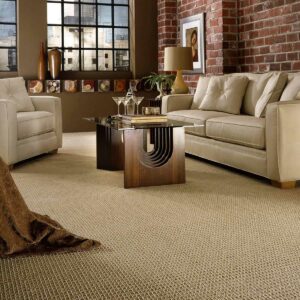 Carpet Inspiration Gallery | Jordan's Flooring