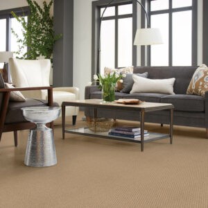 Carpet Inspiration Gallery | Jordan's Flooring