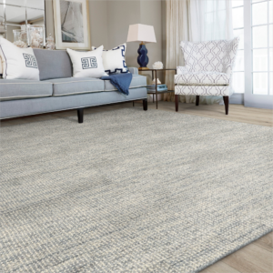 Living room Area rug | Jordan's Flooring