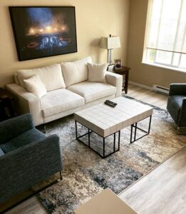 Living room area rug | Jordan's Flooring