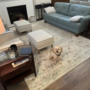 Antiquity Rug | Jordans Flooring