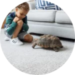 Jordans Flooring Outlet photo 5