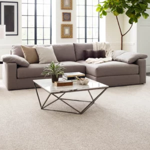 Carpet | Jordans Flooring