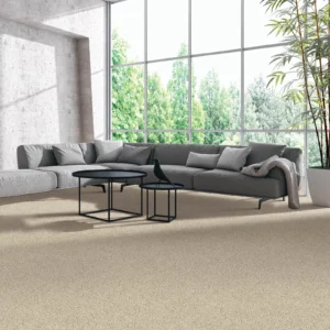 Living room Carpet | Jordans Flooring