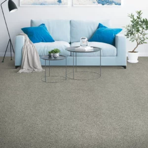 Living room Carpet | Jordans Flooring