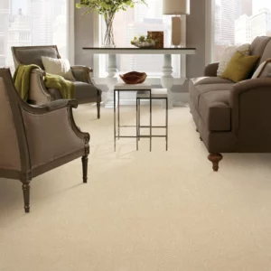 Living room Carpet | Jordans Flooring