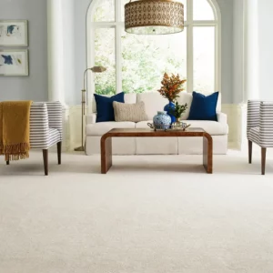 carpet-gallery-img (10)